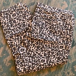 NWOT Loft Modern Skinny Leopard Jeans 26W